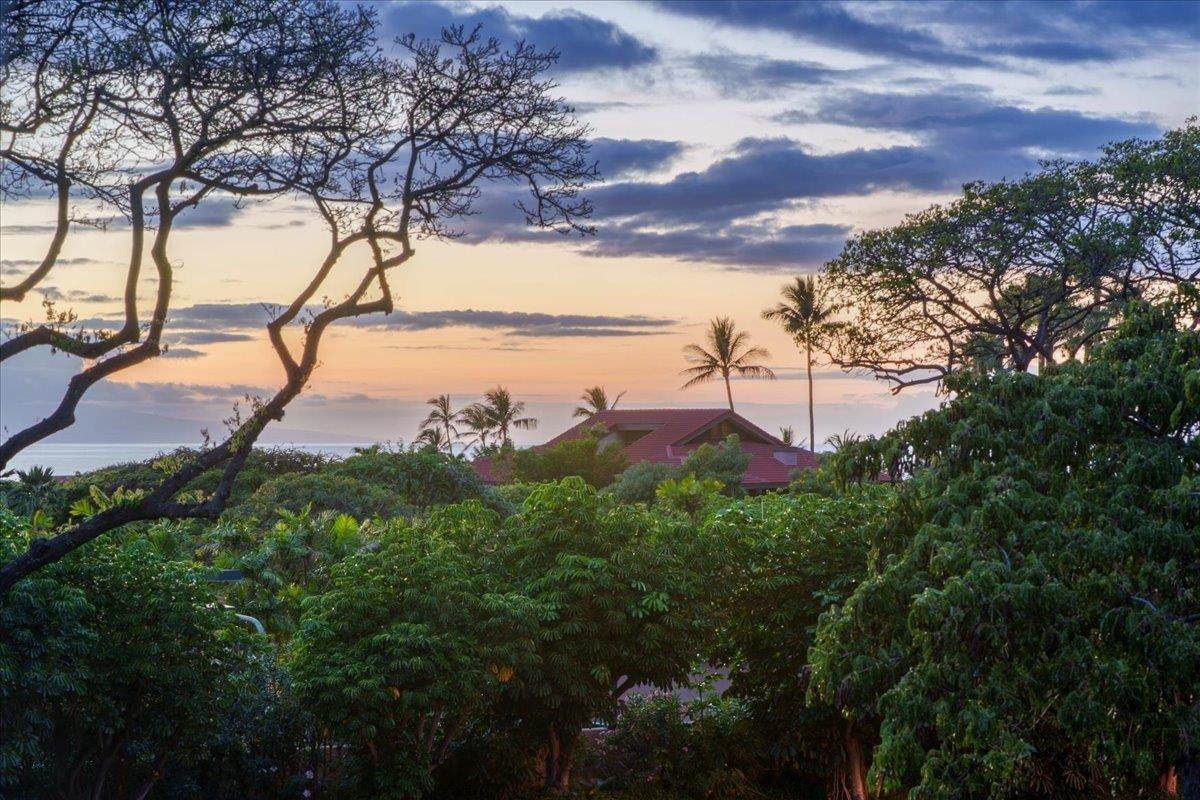 209 Holokahiki Ln - Photo 1