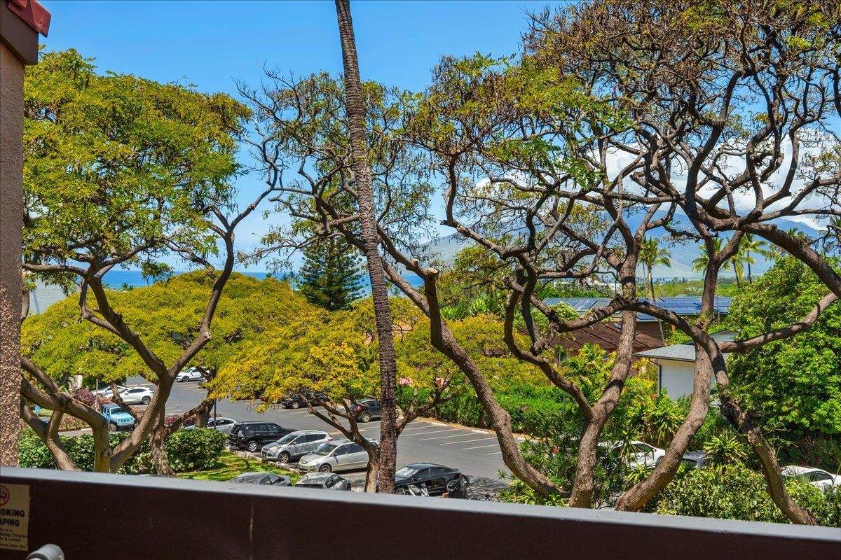 https://bt-photos.global.ssl.fastly.net/maui/orig_boomver_2_409271-2.jpg