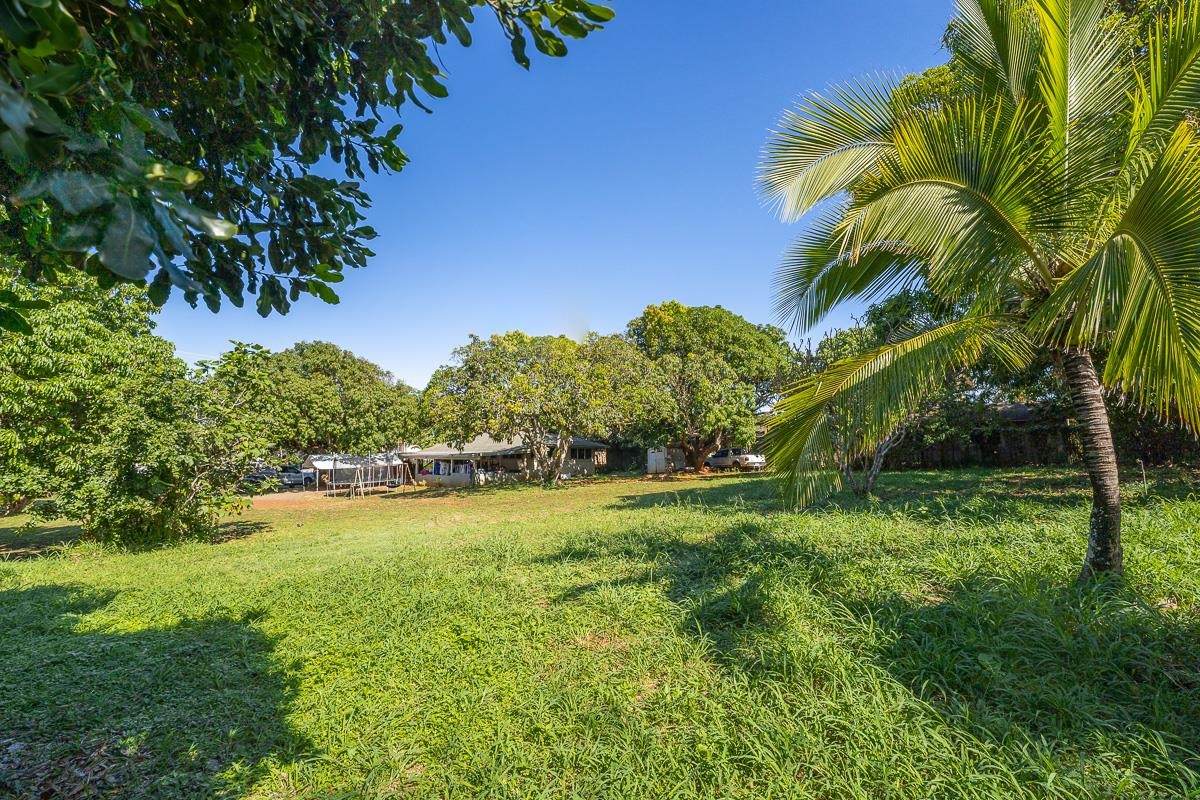 168 Hana Hwy - Photo 1