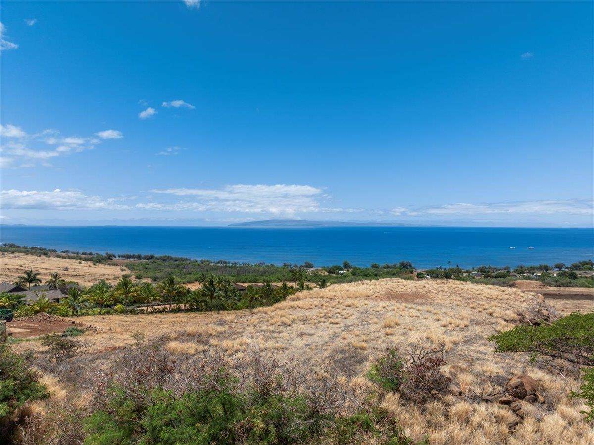 295 Luawai St - Photo 1