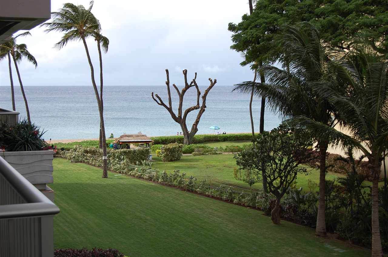 2481 Kaanapali Pkwy - Photo 1