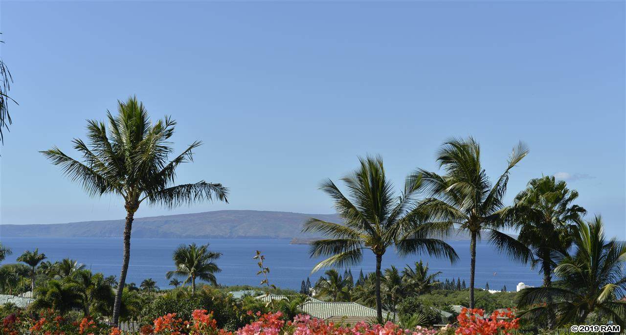 3981 Wailea Ekolu Pl - Photo 1