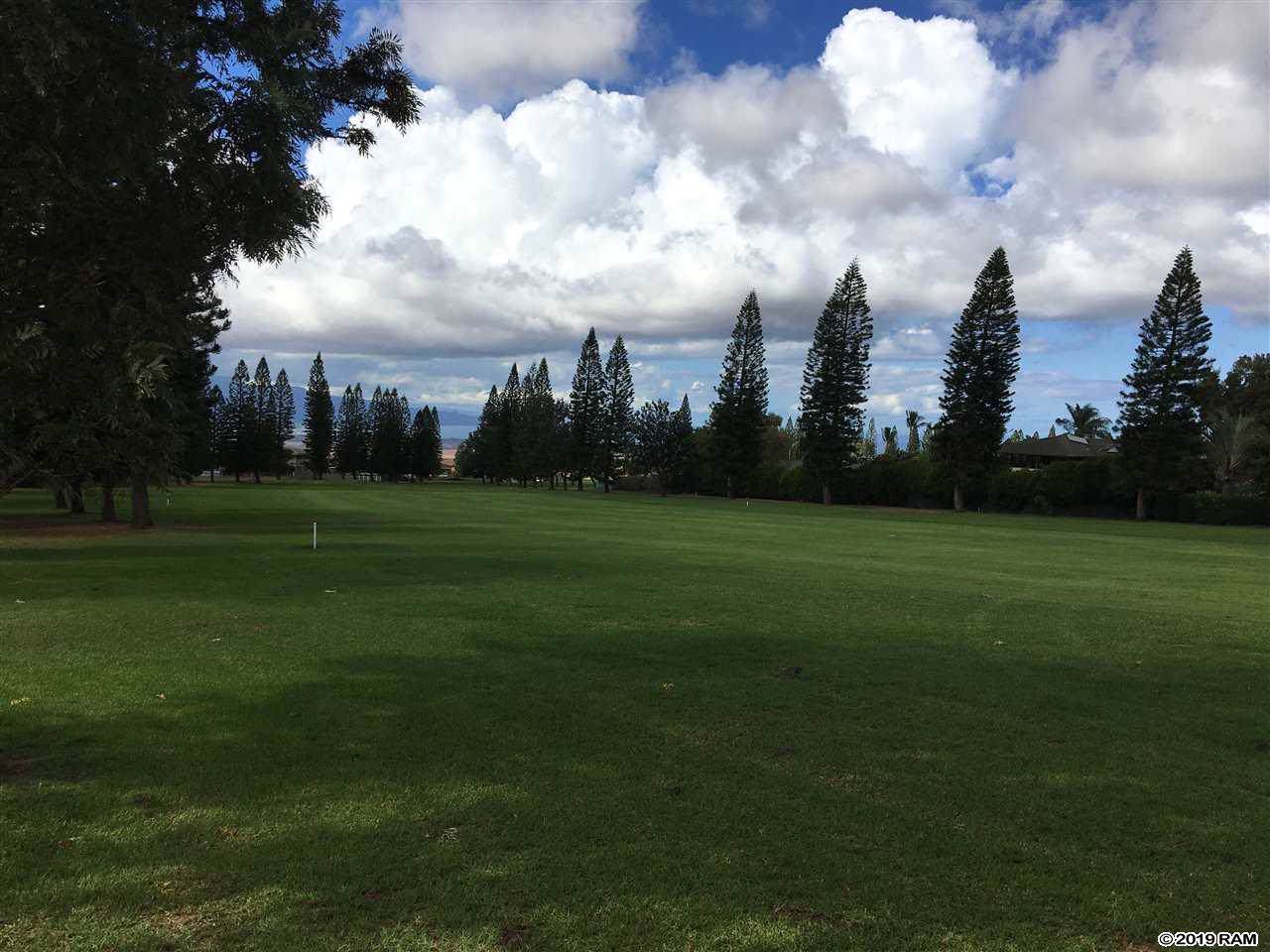 2785 Aina Lani Dr - Photo 1