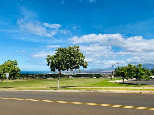 426 Puaehu St - Photo 1