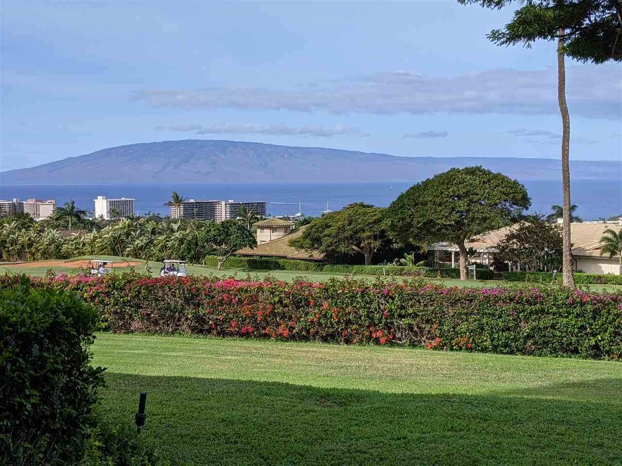 50 Puu Anoano St - Photo 1