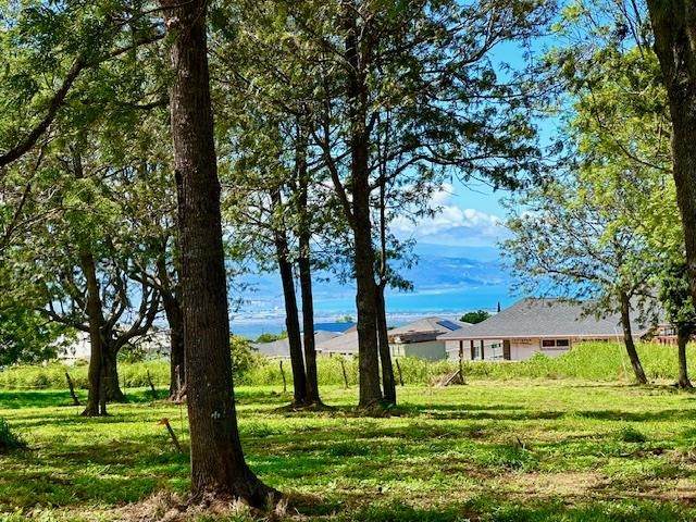 26 Kula Hwy - Photo 1