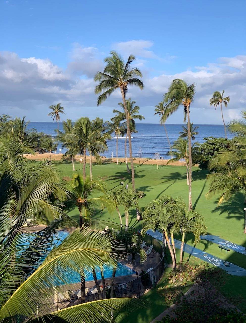 1032 Kihei Rd - Photo 1