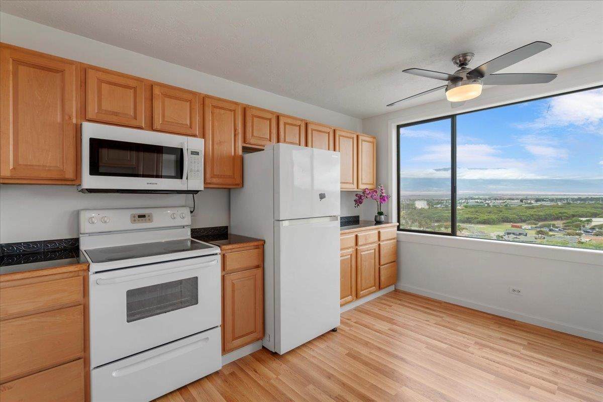 495 Liholiho St - Photo 1