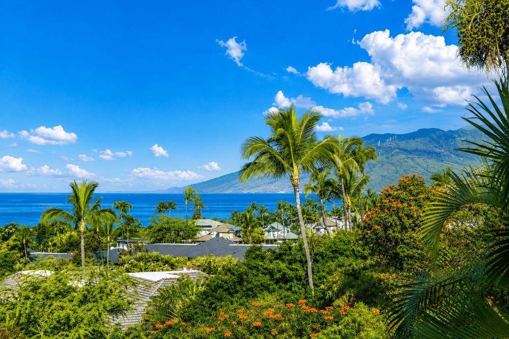 https://bt-photos.global.ssl.fastly.net/maui/orig_boomver_3_407834-2.jpg