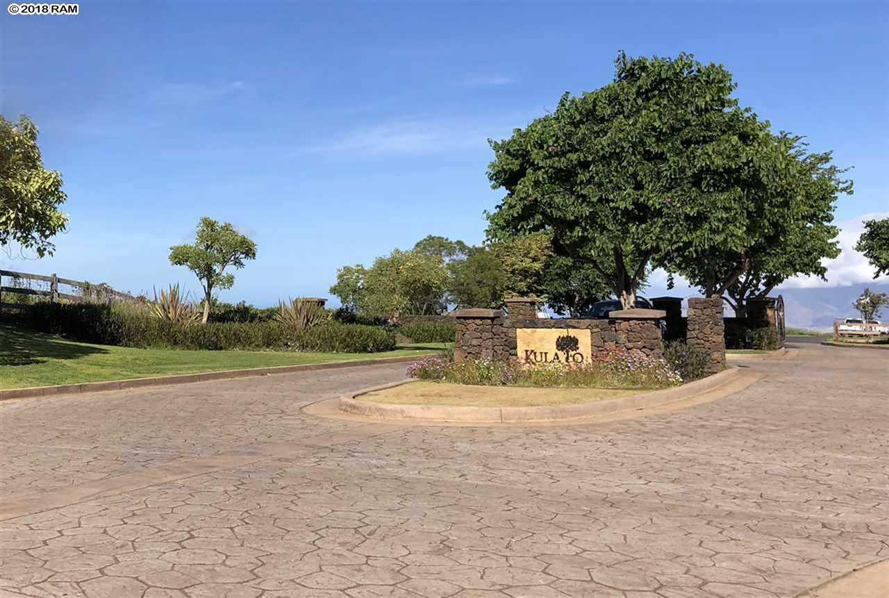 416 Huahua Pl - Photo 1