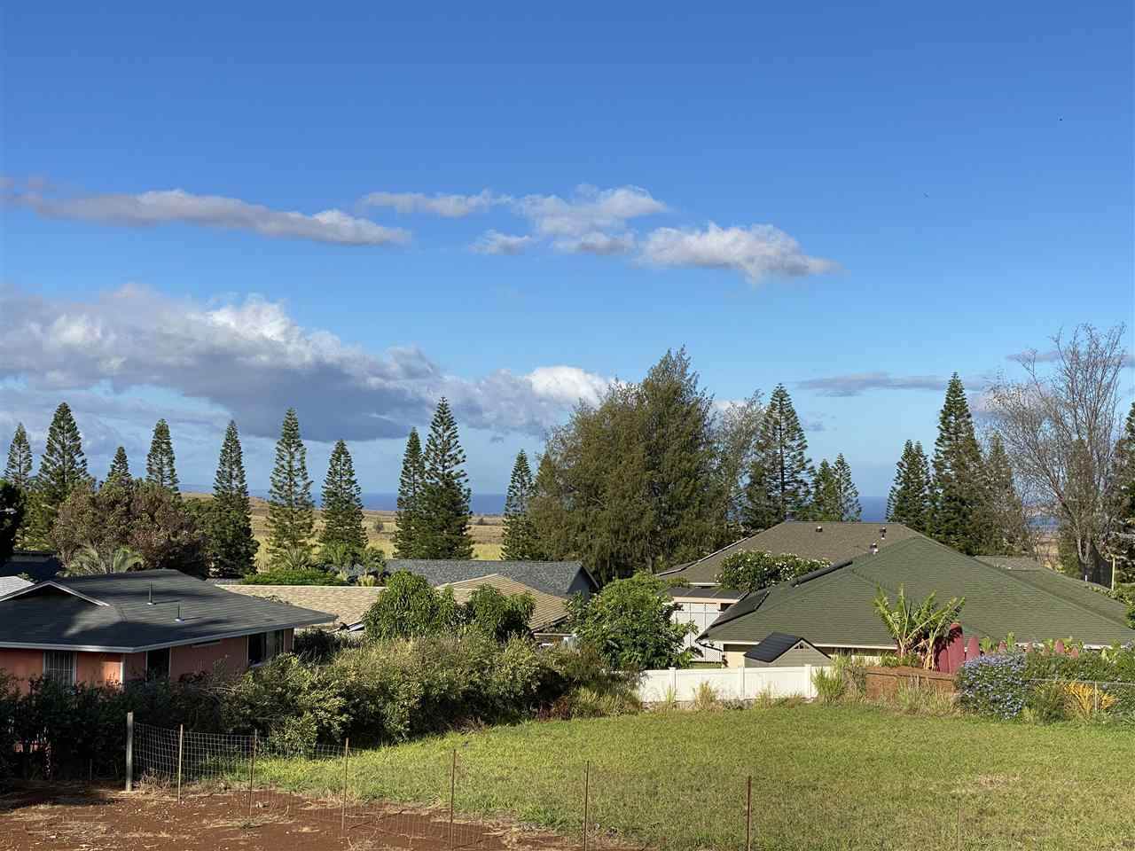 2726 Keikilani St - Photo 1