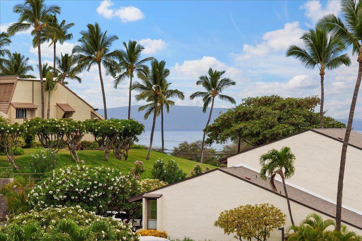 2737 Kihei Rd - Photo 1