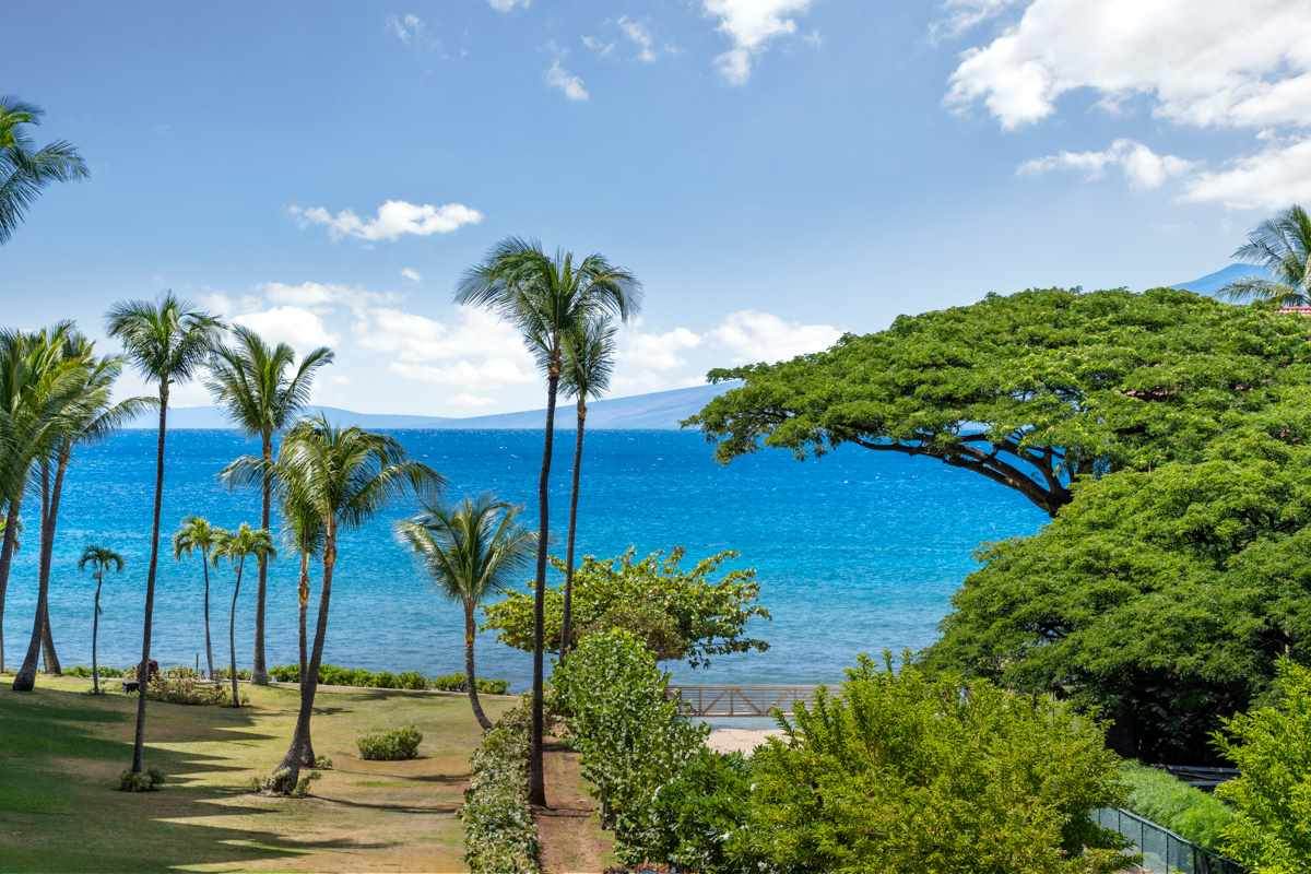 3445 Lower Honoapiilani Rd - Photo 1