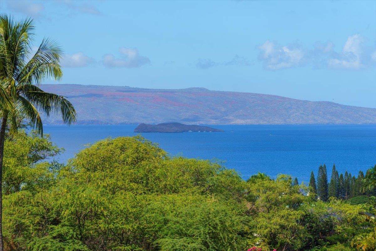 3950 Kalai Waa St - Photo 1