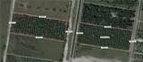 0 La Gallina - Photo 2