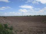 30 Acres Fm 732 - Photo 3
