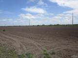 30 Acres Fm 732 - Photo 5
