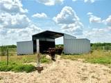 34633 Black Buck - Photo 5