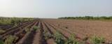 0000 Mile 4 - Photo 2