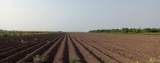 0000 Mile 4 - Photo 3