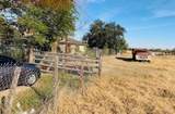 1418 Bentsen Palm - Photo 12