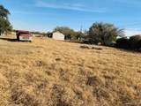 1418 Bentsen Palm - Photo 2