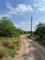 7739 Chihuahua - Photo 2
