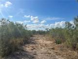 0000 Us Highway 83 - Photo 23