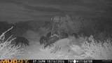 0000 Us Highway 83 - Photo 24