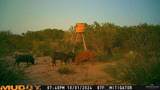 0000 Us Highway 83 - Photo 26