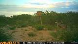 0000 Us Highway 83 - Photo 28