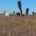 11 Hwy 4 - Photo 6