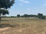 21407 Buck Fawn - Photo 13