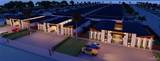 700 Alexandrite - Photo 2