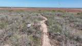 29101 Mile 17 1/2 - Photo 28