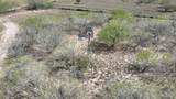 29101 Mile 17 1/2 - Photo 36