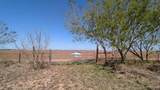 29101 Mile 17 1/2 - Photo 41