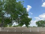 34313 Buck Fawn - Photo 10