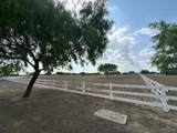 34313 Buck Fawn - Photo 7