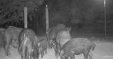 1645 Cr 288 - Photo 42