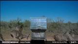 498 Brooks County Road 406 - Photo 29