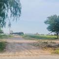 401 Datil - Photo 1