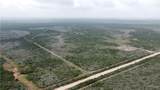 000 County Road 173 - Photo 5