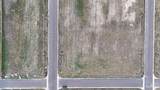 2 Karianna - Photo 5