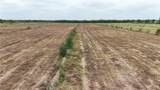 Lot 12 Monte Cristo Heights - Photo 5