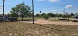 4631 Bentsen Palm - Photo 7