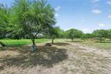 3005 Palm Court - Photo 4