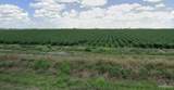 18499-18353 Fm 2556 - Photo 3