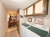 331 Windmill Palm - Photo 6