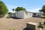 346 Windmill Palm - Photo 12